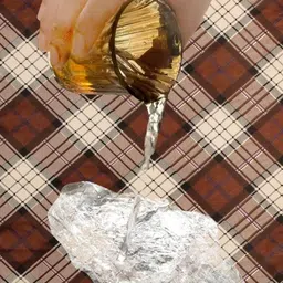 the furnishing tree Compatible for Panasonic 23L NN-CT353BFDG C image 5