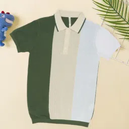 Pantaloons Junior Boys Sea Spray Color Block Polo T -Shirt-image-7