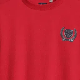 Allen Solly Boys Red Cotton Regular Fit Striped Sweatshirt image 3