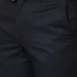 Park Avenue Black Regular Fit Striped Flat Front Trousers image 4