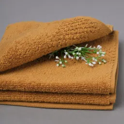 Spaces Hygro Solid Brown 600 GSM Cotton Hand Towel image 4