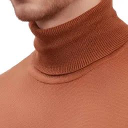 ColorPlus Brown Tailored Fit High Neck Sweater image 4