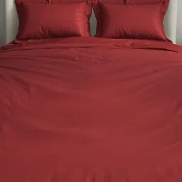 Spaces Cushlon Solid Red 480 GSM Polyester Double Fleece Blanket image 4