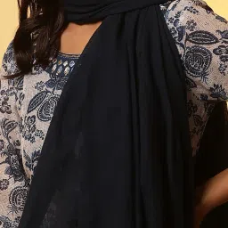 Aurelia Navy Striped Dupatta image 4