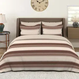 Layers Duracount 225 CVC Cotton Blend Stripes Pattern Bedsheet Set-picture-41