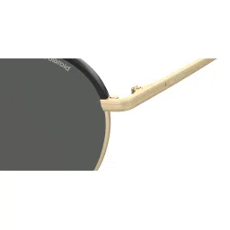 Polaroid Grey Round UV Protected Sunglasses for Men image 4