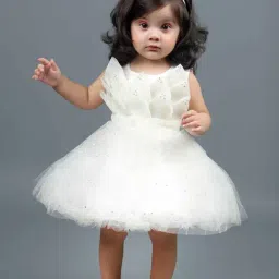 Titrit White Net Embellished Dress for Girls-picture-46