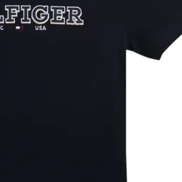 Tommy Hilfiger Desert Sky Cotton Embroidered Boys Regular Fit T-Shirt image 3