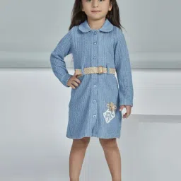 Peppermint Kids Blue Polyester Regular Fit 1 Dress-picture-48