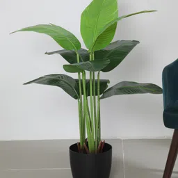Arick Decor 4.Ft Artificial Banana Plants with Pot for Interior Decor/Home Decor/Office Decor-image-82