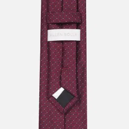 Allen Solly Maroon Polyester Embroidered Tie image 4