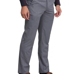 Park Avenue Grey Regular Fit Texture Trousers image 4