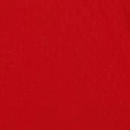 Fame Forever by Lifestyle Kids Red Cotton Regular Fit Polo T-Shirt image 4