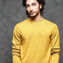 Rare Rabbit Mustard Slim Fit Fit Solid Sweater-picture-37
