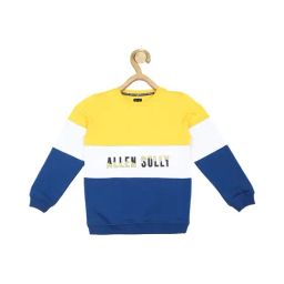 Allen Solly Junior Multicolor Color Block Full Sleeves Sweatshirt-picture-9