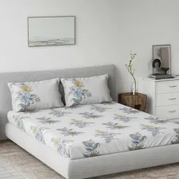 Ddecor Live beautiful Radiance Blue 144 TC Cotton King Bedsheet with 2 Pillow Covers-image-51