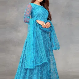 Aika Embroidered Net Fit & Flare Maxi Dress image 5