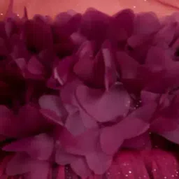 Titrit Maroon Net Embellished Dress for Girls image 5