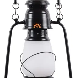 DecorativeRay Black Hanging Light - Set of 1 image 5