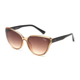 Irus Brown Cat Eye UV Protection Sunglasses for Women-image-80