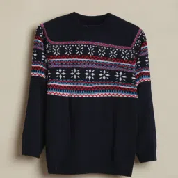 Allen Solly Boys Navy Regular Fit Printed Sweater-image-2