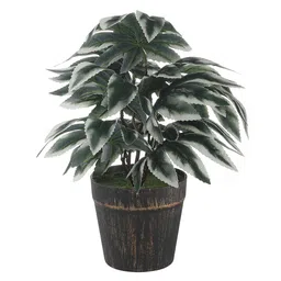 FOLIYAJ Green & White Artificial Maple Leaf Plant With Black Pot image 2