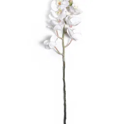 Pure Home and Living White Polyester Solid Flower Stems image 4