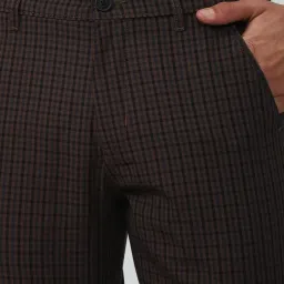 Peter England Brown Regular Fit Checks Shorts image 4