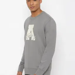 American Eagle Outfitters Ash Grey Regular Fit Printed Sweatshirt image 3