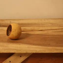 Vanchai Brown 4 Pieces Artificial Plant-picture-24