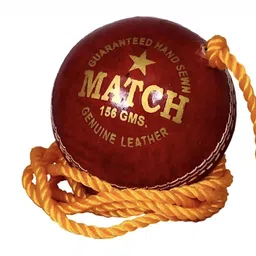 HackerX Printed Leather Cricket Hanging Ball image 1
