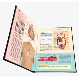 vishv books My Encyclopaedia Library Human Body Book - English image 3