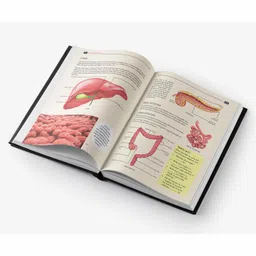 vishv books My Encyclopaedia Library Human Body Book - English image 4