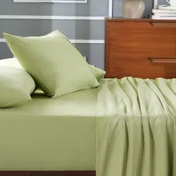 Maspar Colorart Eden Sage Green 144 TC Cotton Double Bed Sheet With 2 Pillow Covers-image-29