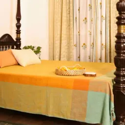 Peepul Tree Citrine Yellow Cotton 300 TC Marigold Collection Bed Cover-picture-34