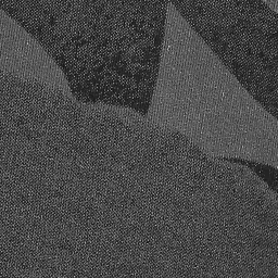 Pepe Jeans Black Cotton Regular Fit Printed Sweatshirt image 5