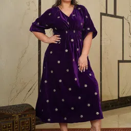 NANGALIA RUCHIRA Women Embroidered Velvet Dress-picture-14