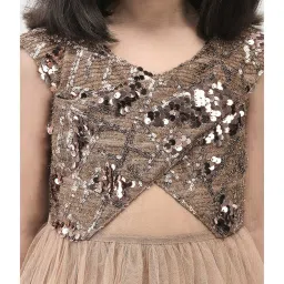 Eavan Kids Beige Embellished Gown image 5