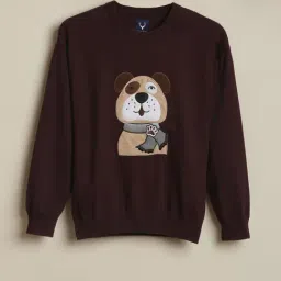 Allen Solly Boys Maroon Cotton Regular Fit Embroidered Sweater-image-86
