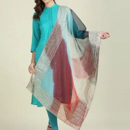 Dupatta Bazaar Red Zari Work Dupatta-picture-36