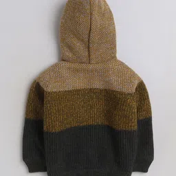 Yellow Apple Boys Colourblocked Pullover image 4