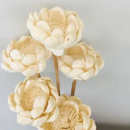 Vanchai Off White 5 Pieces Artificial Flower image 3