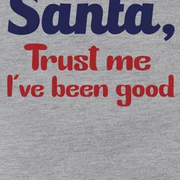 FFlirtygo Christmas Theme Cotton Half Sleeves Santa Trust Me Printed T-Shirt - Grey image 4