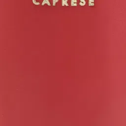 Caprese LIZZY Red Solid Medium Sling Handbag image 5