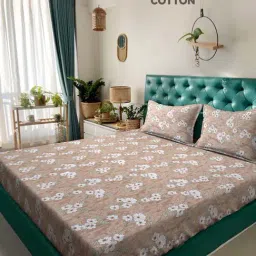 Klotthe Beige 400 TC Cotton Double Bedsheet with 2 Pillow Covers-picture-16
