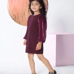 Peppermint Girls Maroon Cotton Regular Fit Textured Dress image 1