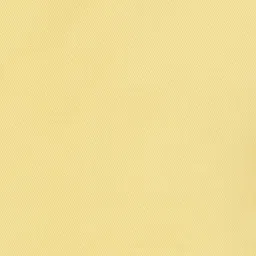 Fame Forever by Lifestyle Kids Yellow Cotton Printed Shorts image 5