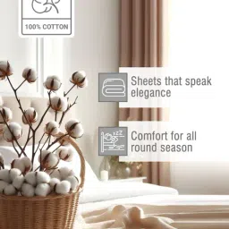 Boutique Living Cotton Charm Beige Cotton 400 TC Flat King Bedsheet with 2 Pillow Covers image 5