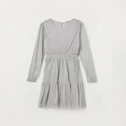 Fame Forever by Lifestyle Girls Silver Cotton Applique Dress-picture-11