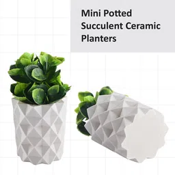 Kuber Industries White & Green 4 Pieces Succulent Artificial Plant With Pot image 3